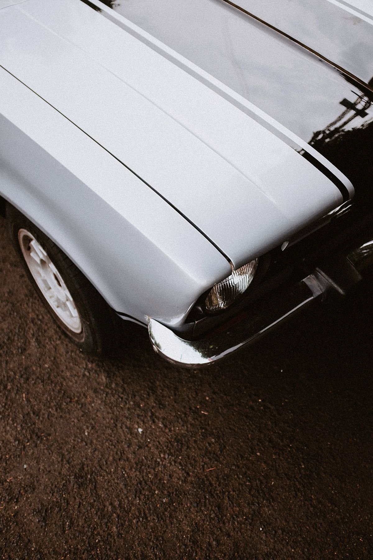 Close-up of car hood and front wheel